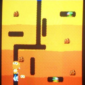 Dig Dug Screen