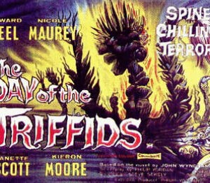Triffid Triffid