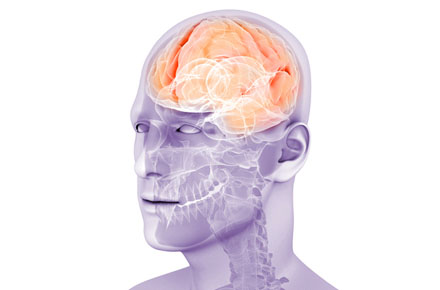 Illustration of a brain inside of a man's head
